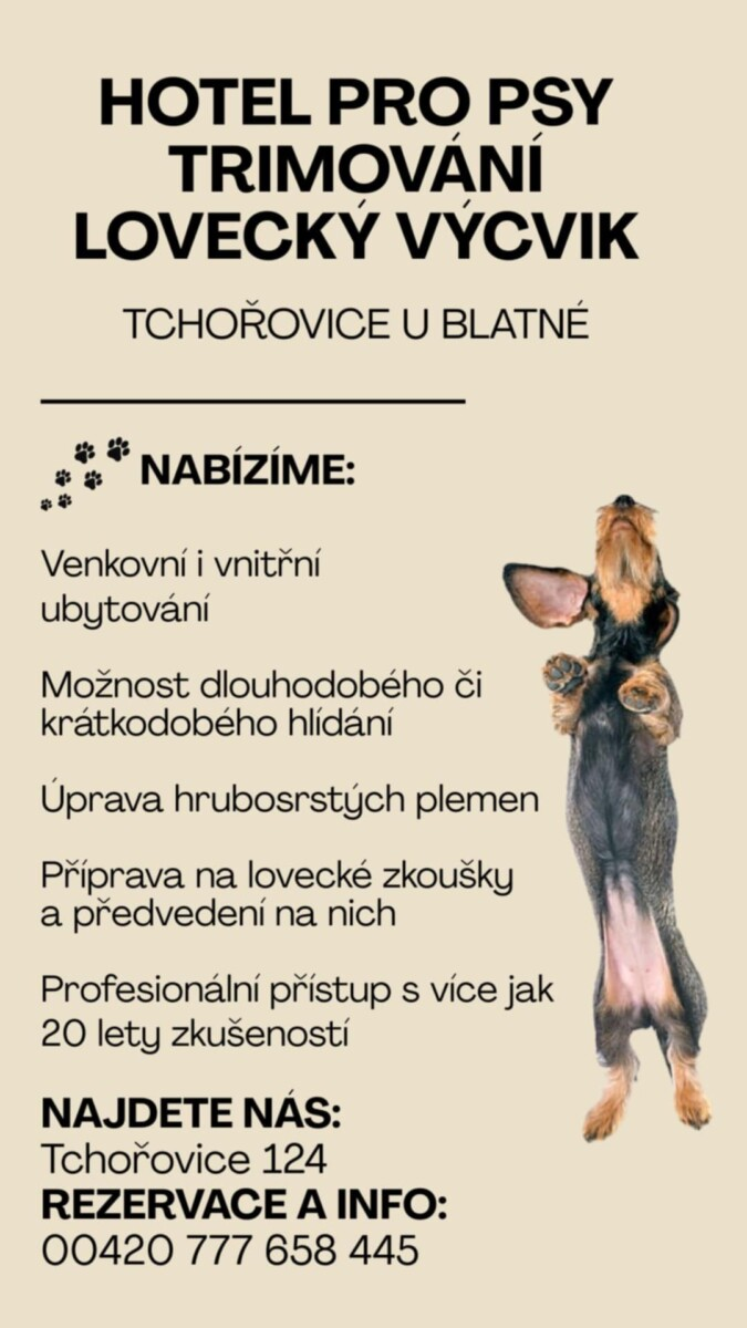 Hotel pro psy – trimování – lovecký výcvik
