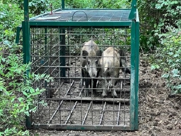 Metodický pokyn – odchytová zařízení