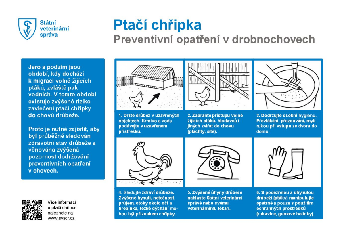 Pozor na ptačí chřipku!!!