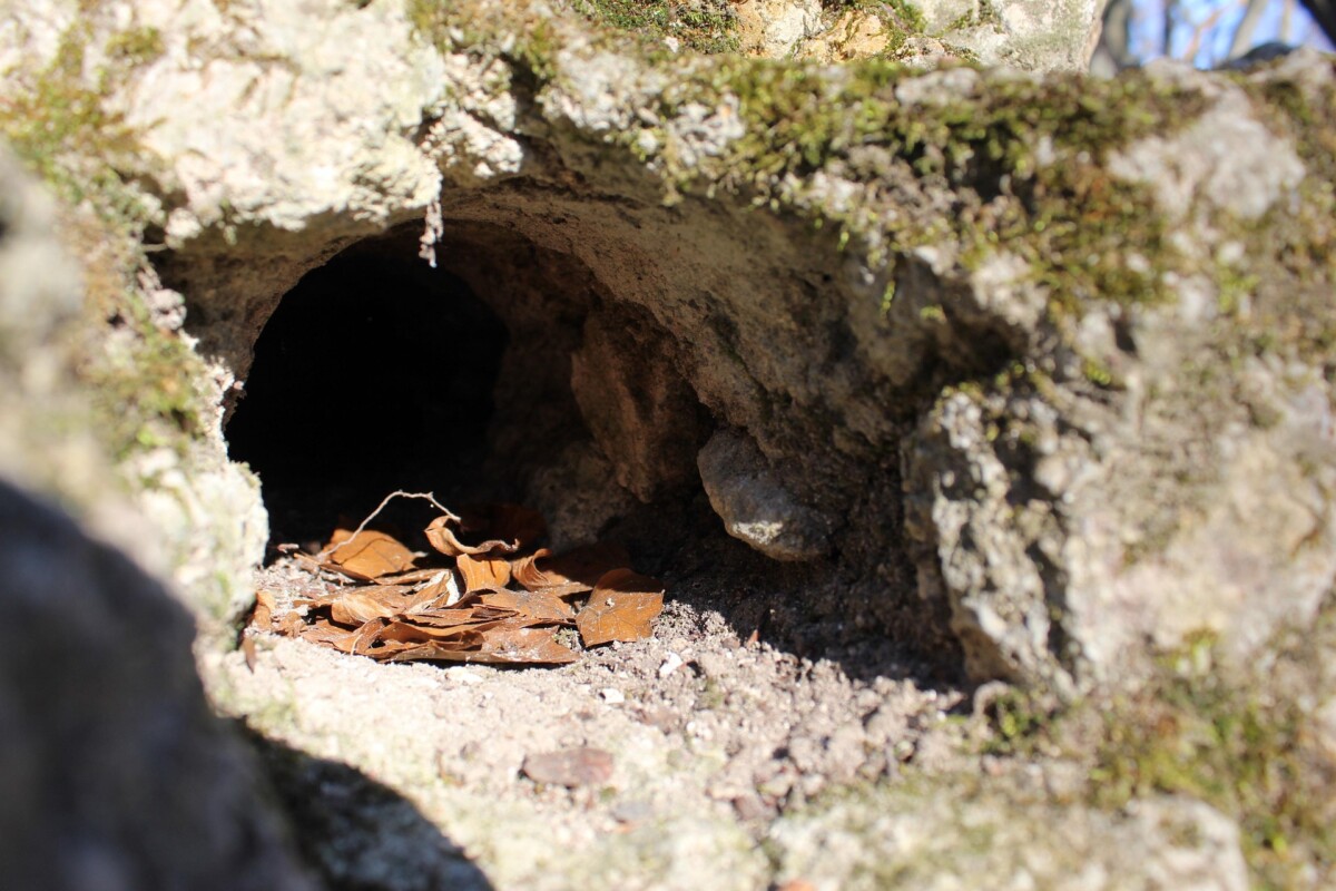 Připojte se k Zachování norování