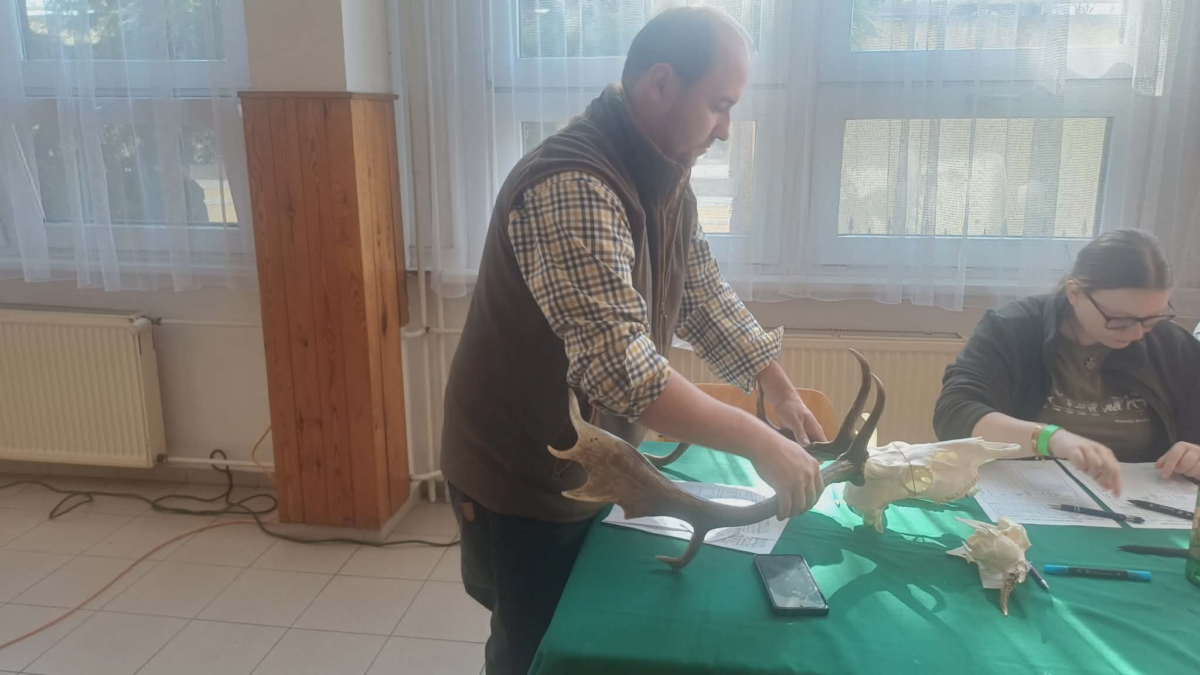 2. hodnocení trofejí volně ulovené zvěře ve správním obvodu Písek