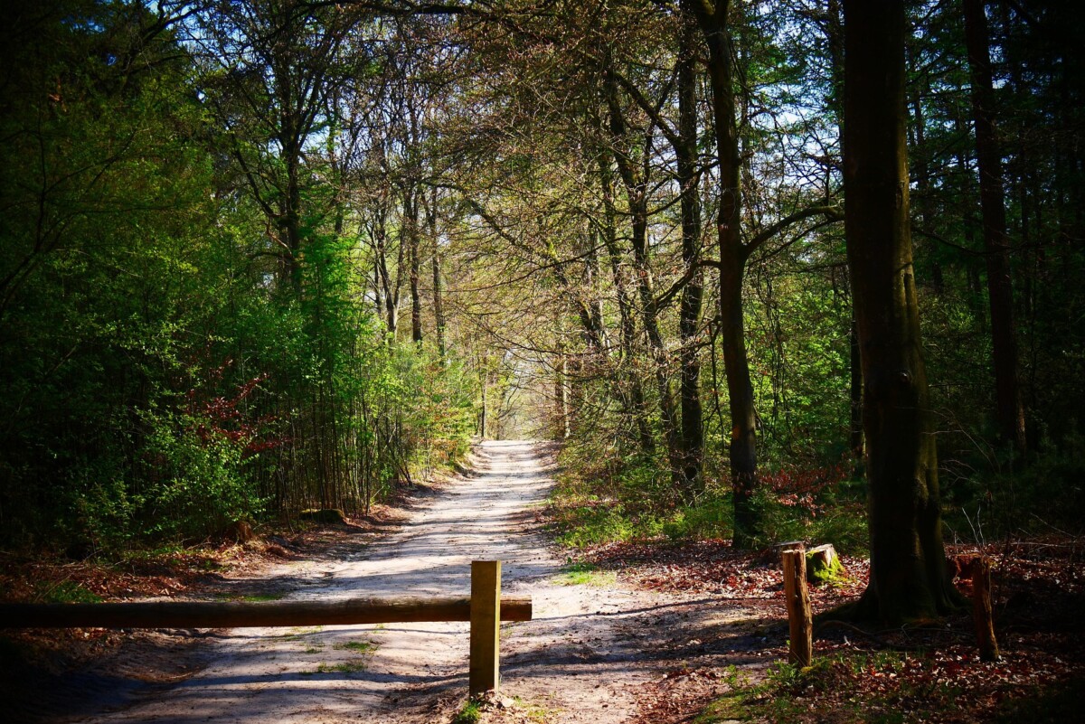 Kurz pro myslivecké hospodáře