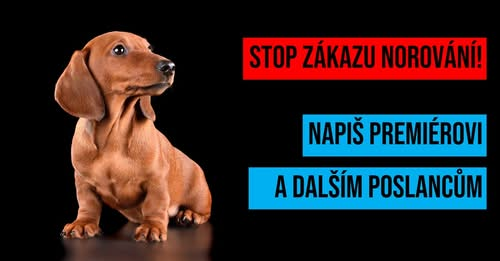 STOP ZÁKAZU NOROVÁNÍ!!!